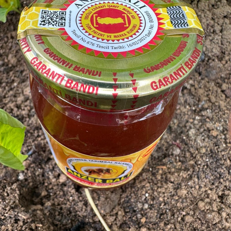 Anzer Honey 500 GR